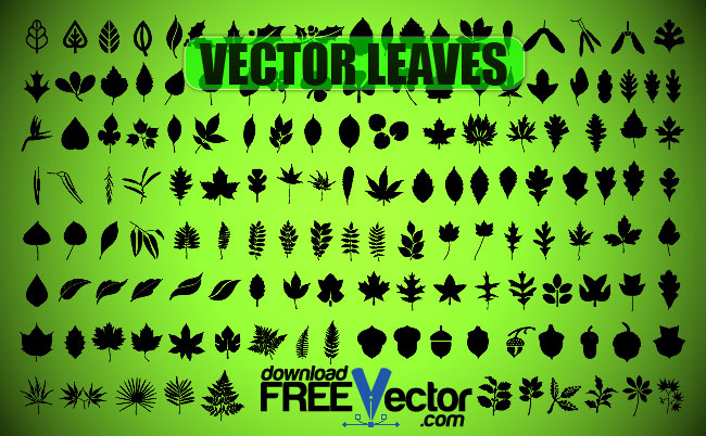 Free Vector Leaves