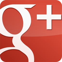 Google Plus Button Icon