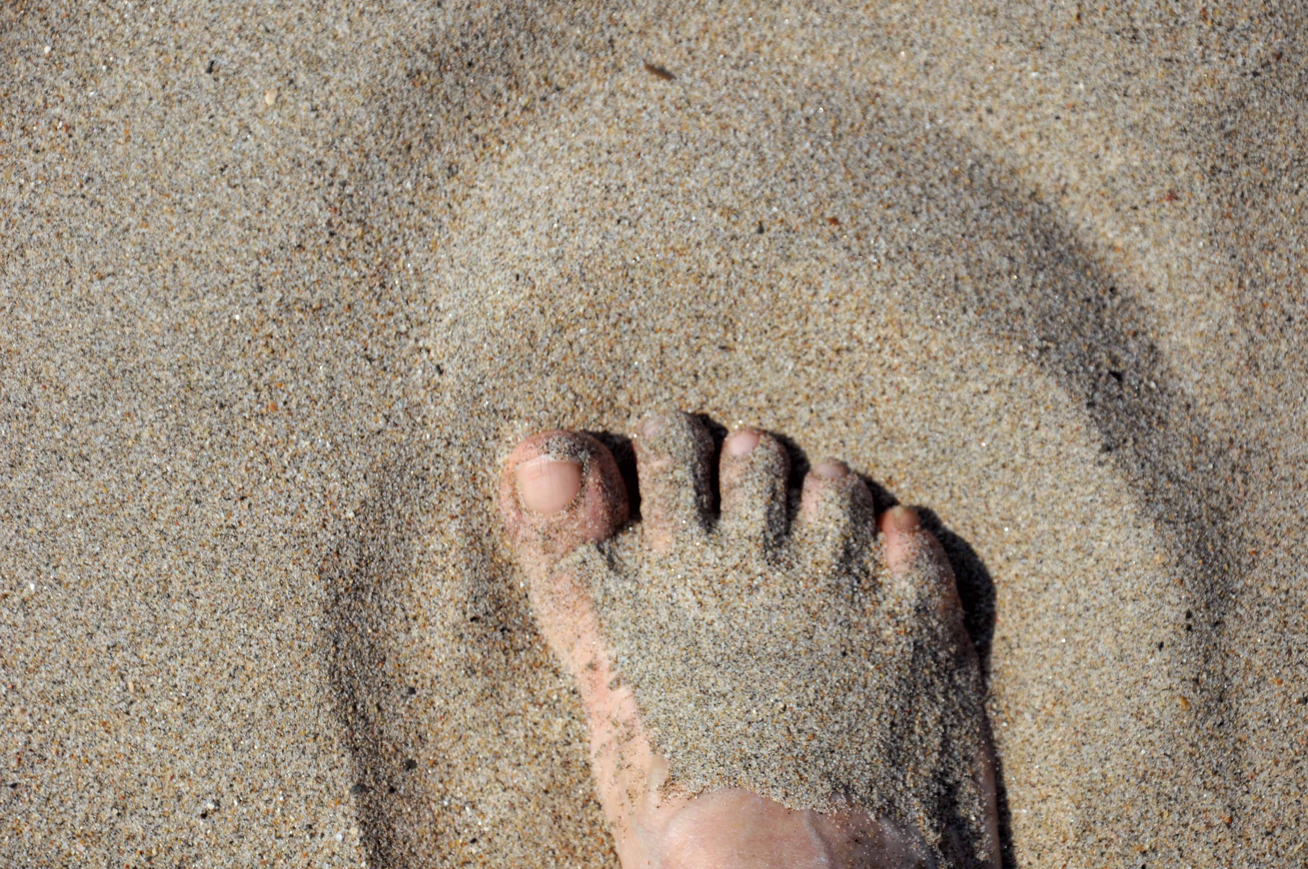 Grainy Sand Texture Grainy Sand Texture
