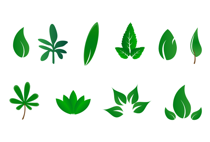 Green Leaf Vector