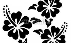 Hawaiian Flower Vector