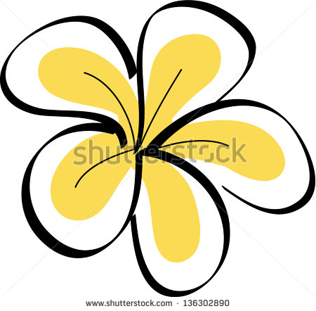 Hawaiian Plumeria Flower Drawings