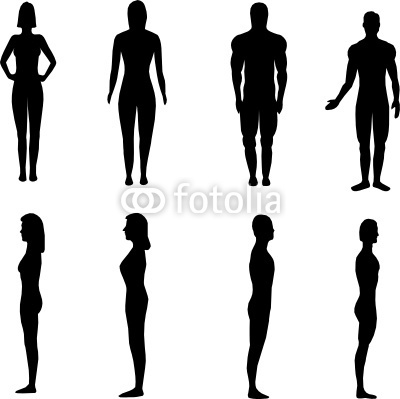 Human Silhouette Vector