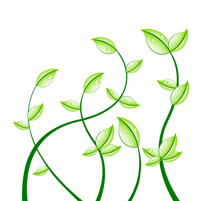 Leaves Free Vector Graphics