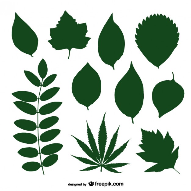 Leaves Silhouette Vector Free