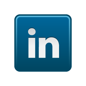 LinkedIn Logo Icon