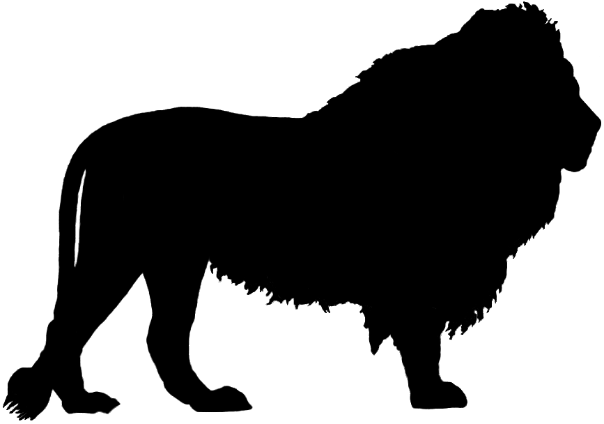 Lion Silhouette