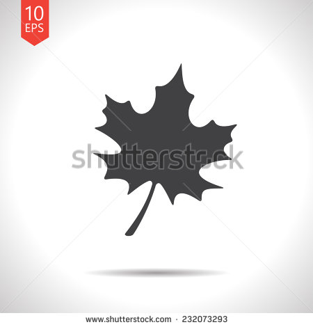 Maple Leaf Vector