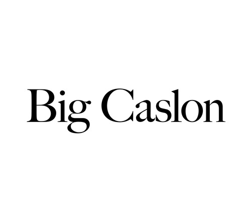 10 Like Big Caslon Fonts Images