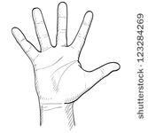 Open Hand Palm Drawings