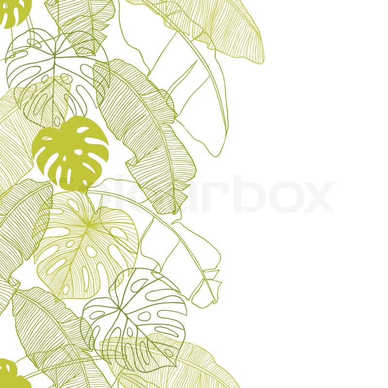 Palm Tree Leaf Pattern