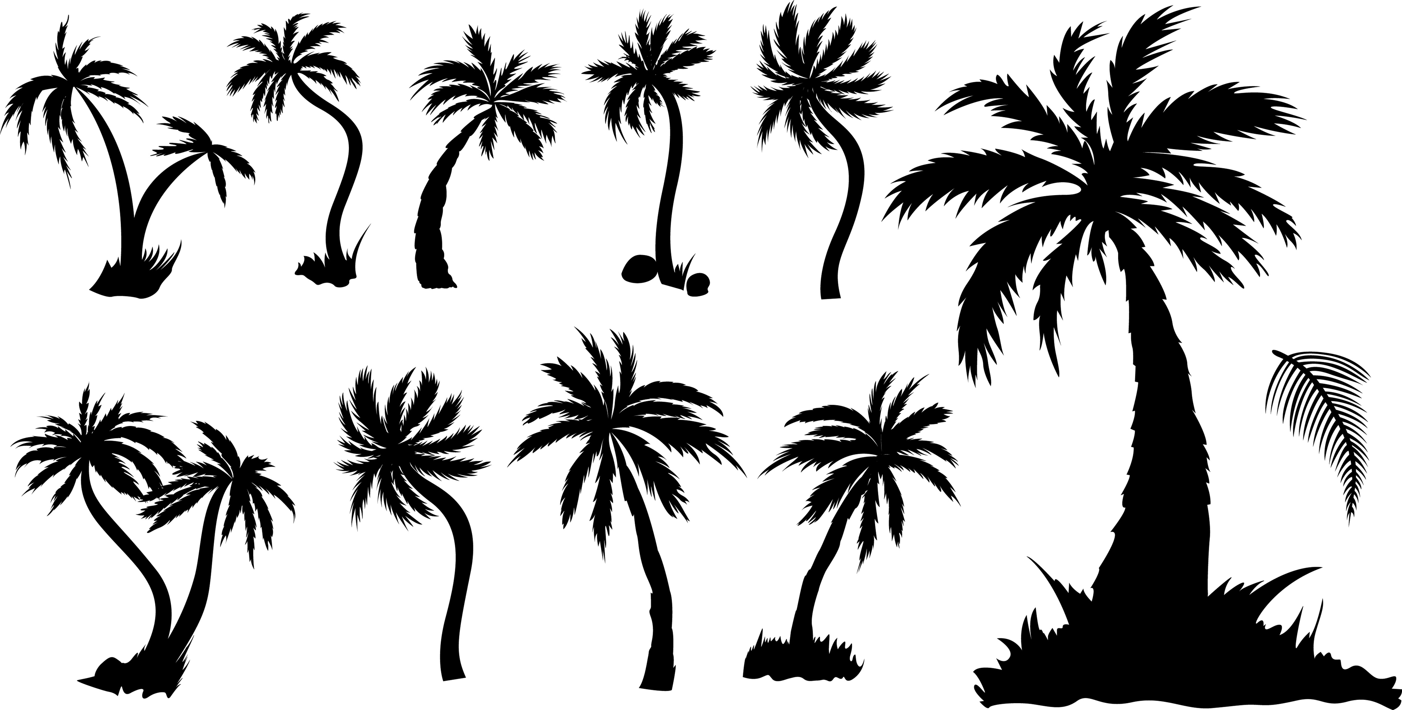 Palm Tree Vector Free