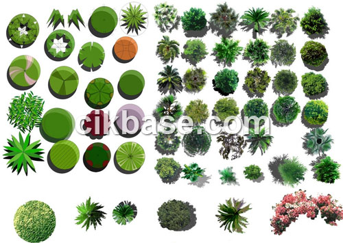 Photoshop Trees Plan View Graphic Photoshop Trees Plan View Graphic