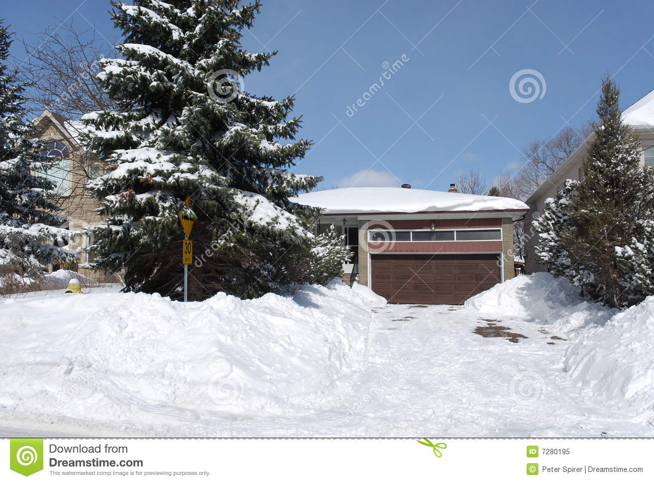 Pine Trees Snow House