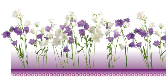 PSD Borders and Frames PSD Borders and Frames