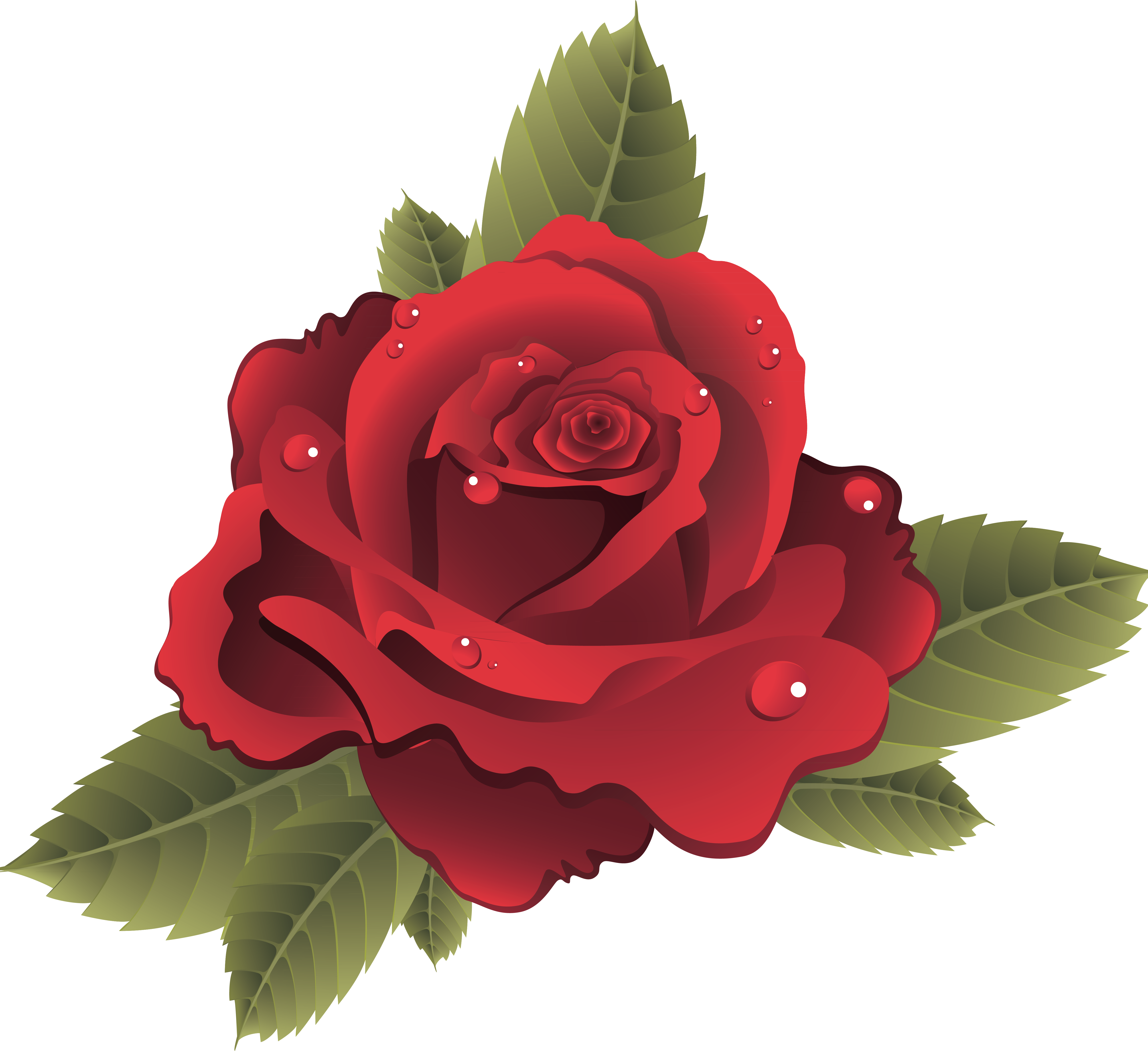 Red Rose Vector Png Red Rose Vector Png