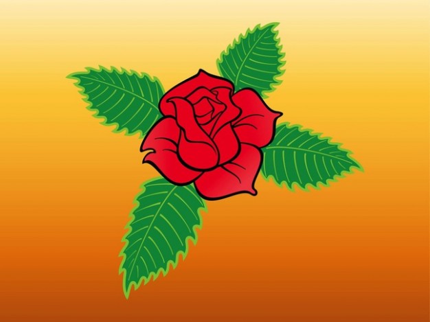 Red Rose Vector