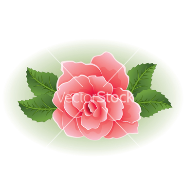 Rose with Leaf Vector