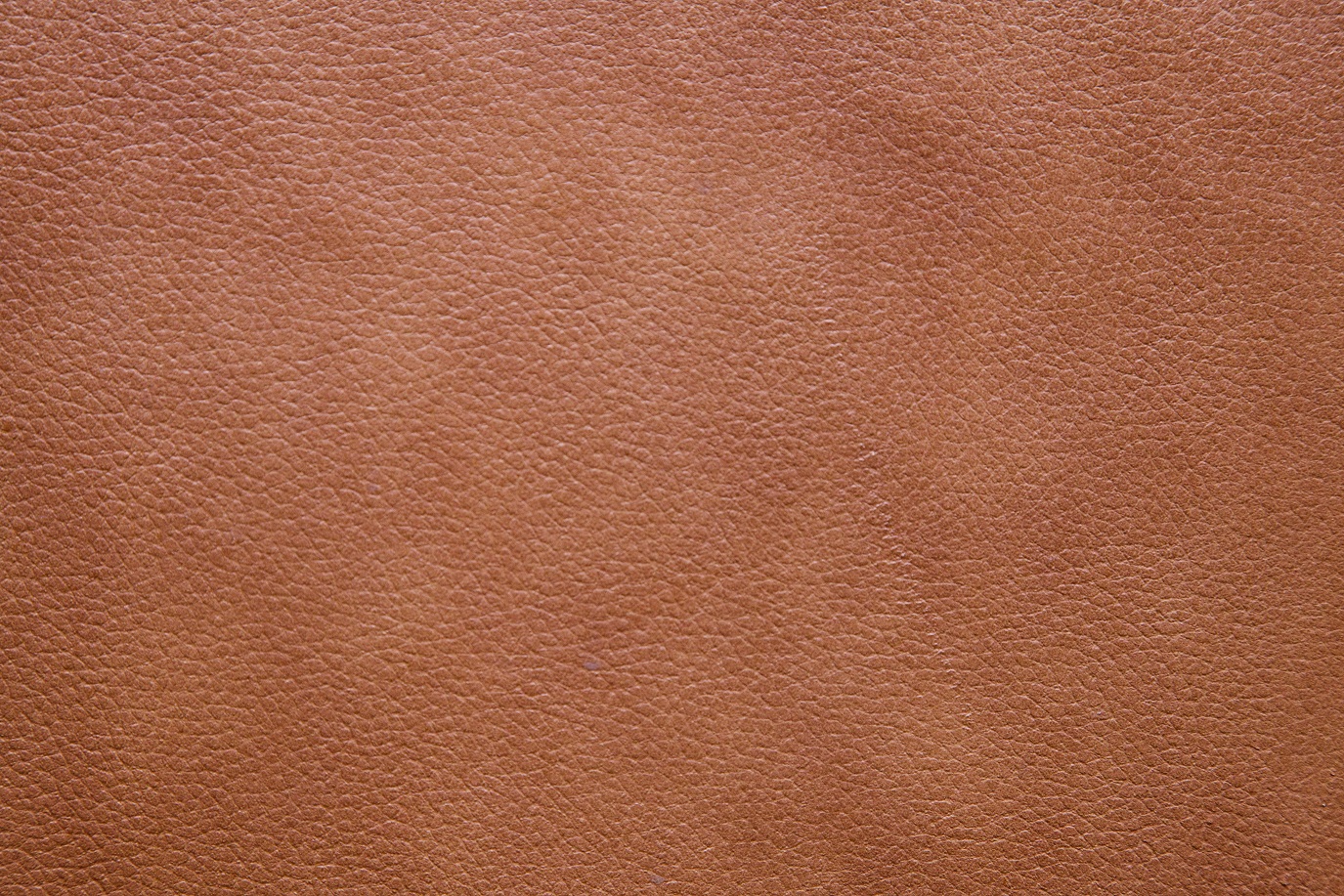 Smooth Leather Texture Smooth Leather Texture