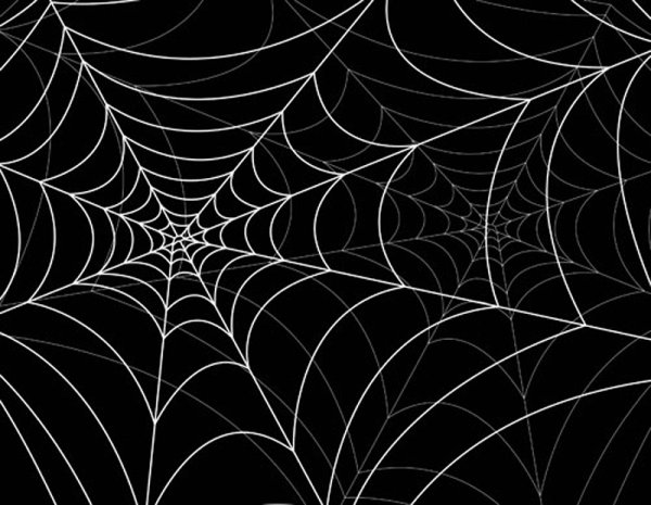 Spider Web Vector