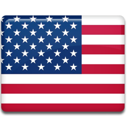 United States Flag Icon