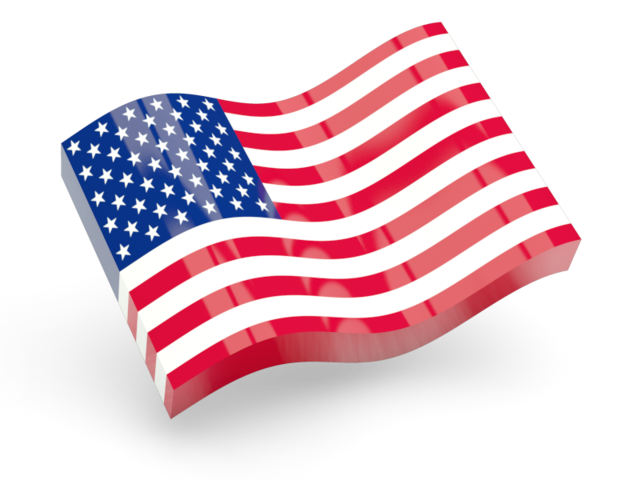 United States Flag Icon