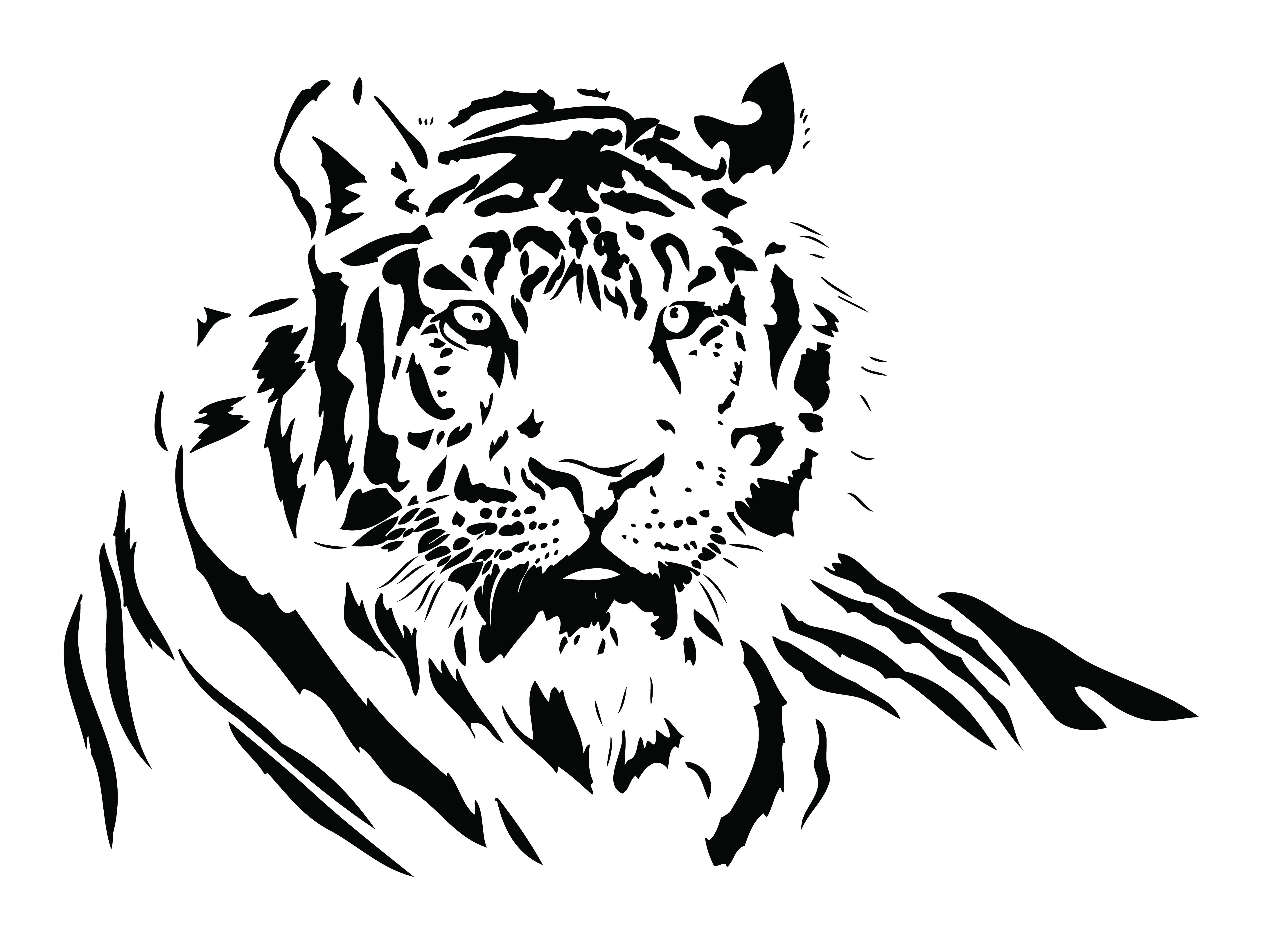 Vector Black and White Tiger Vector Black and White Tiger