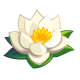 White Lotus Icon