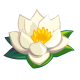 White Lotus Icon White Lotus Icon
