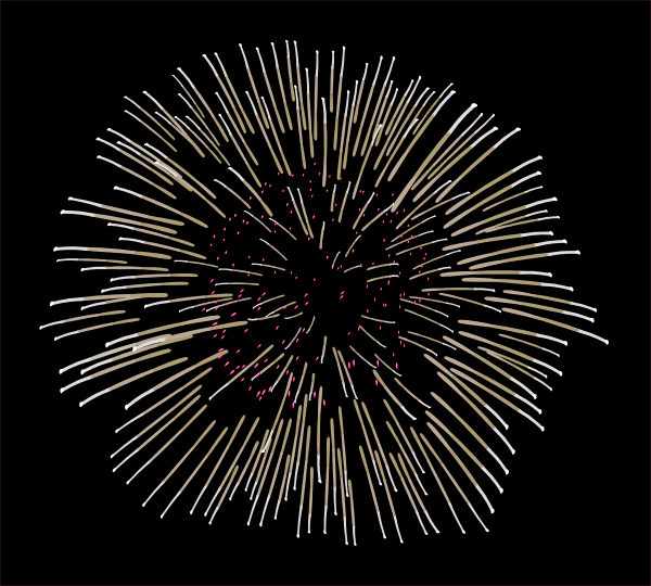 Animated Fireworks Animation