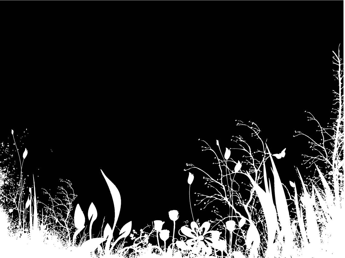 Black and White Flower Silhouette