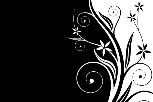 Black and White Swirl Graphics