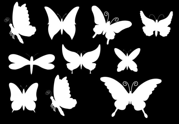 Butterfly Photoshop Shapes Butterfly Photoshop Shapes