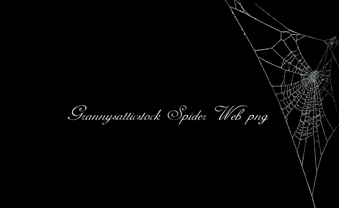 Corner Spider Web Corner Spider Web