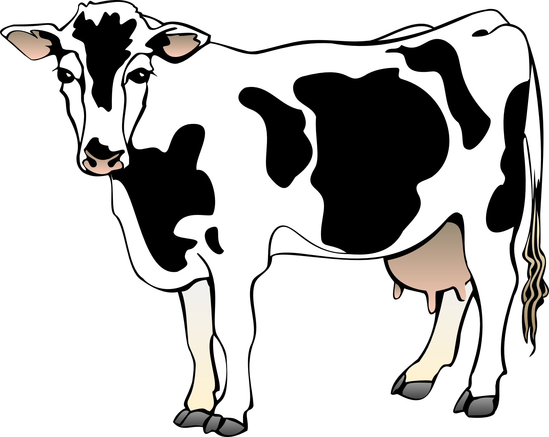 Cow Clip Art