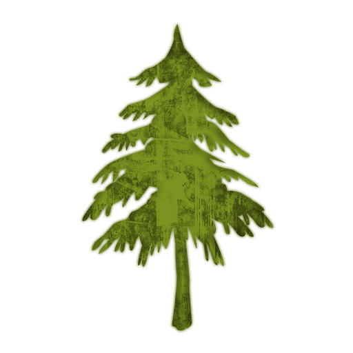 13 Evergreen Tree Icon Images