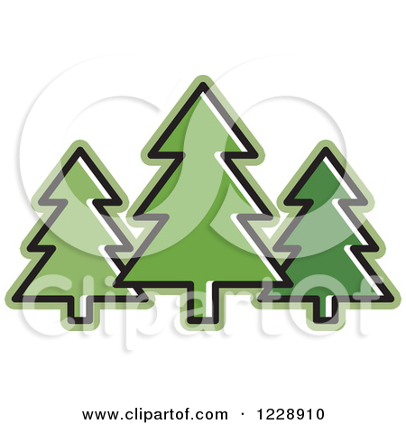 Evergreen Tree Vector