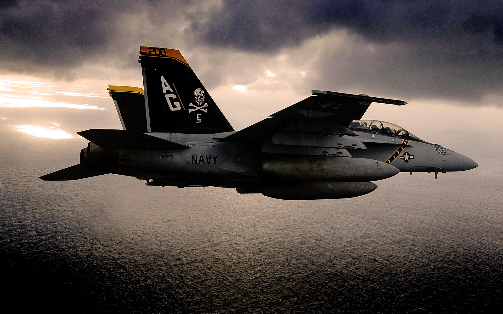 F A 18F Super Hornet Fighter Jet