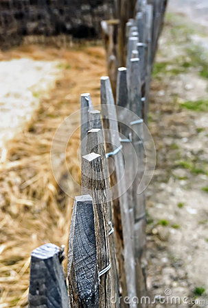 Farm Fence Poles