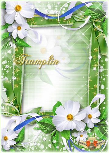 Flower Frame PSD Flower Frame PSD