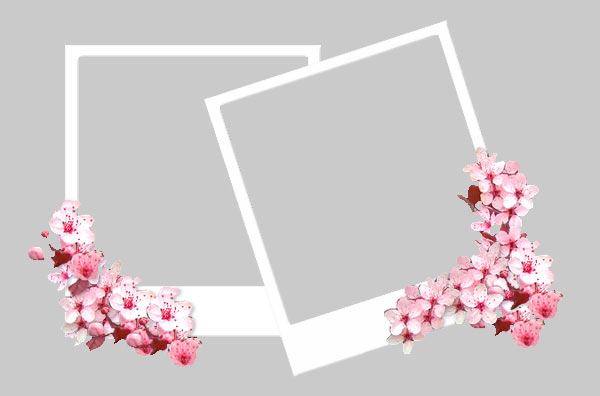 Flower Frame PSD Flower Frame PSD