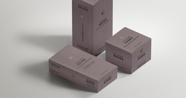Free Box Mock Up Packaging