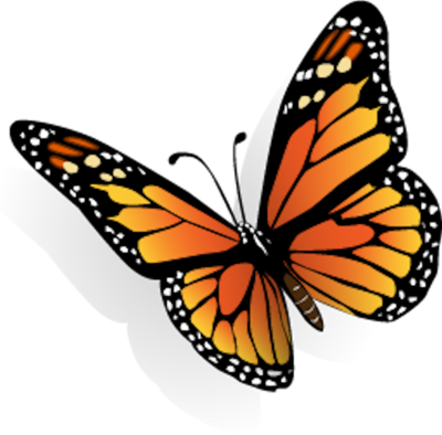 9 Free Butterfly PSD File Images