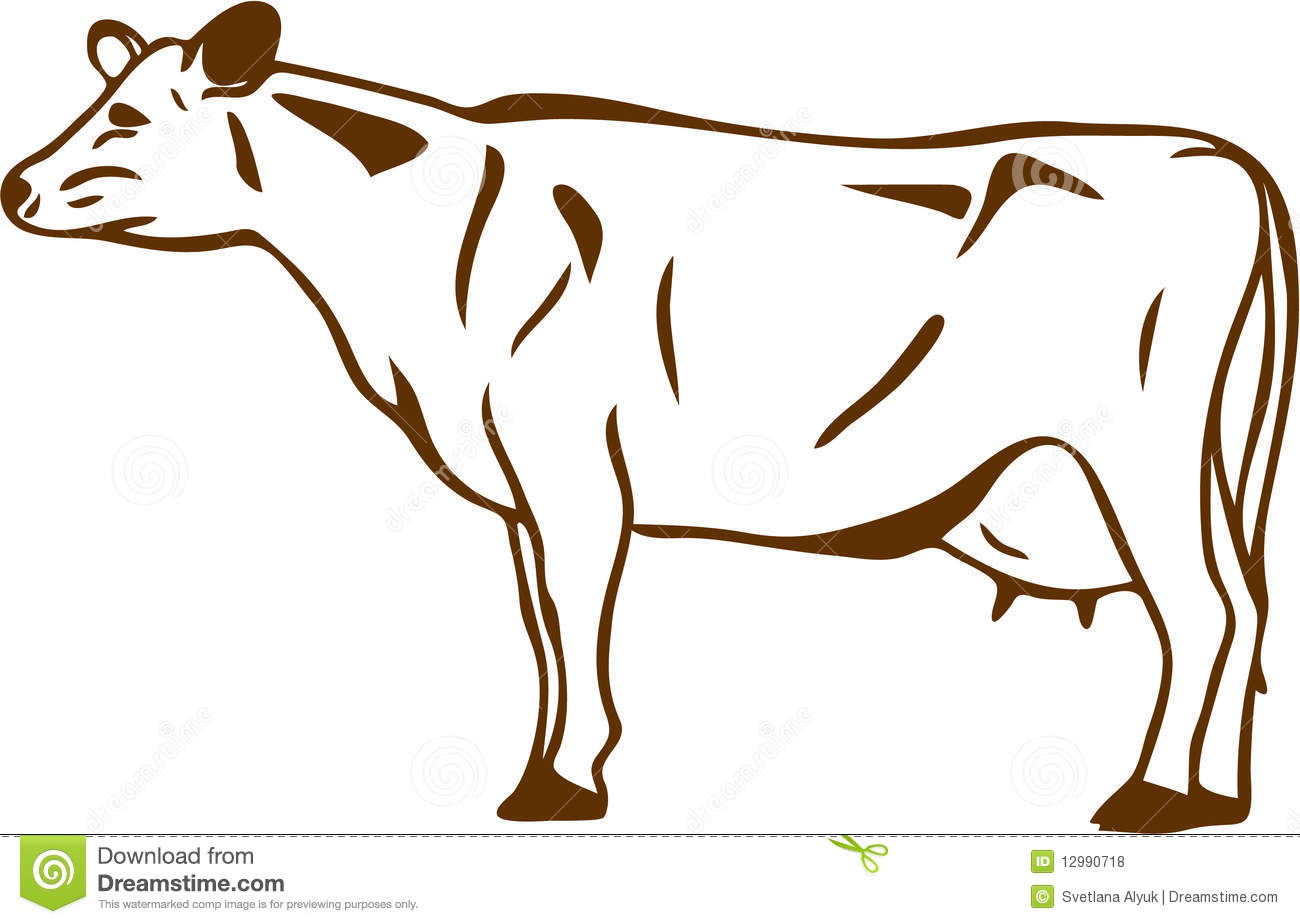 Free Cow Vector Illustration