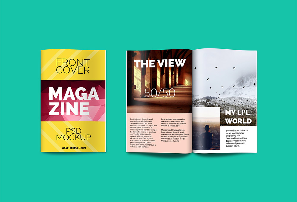 Free Magazine Cover Mockup PSD