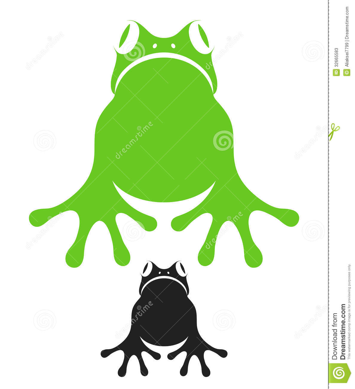 Frog On White Background