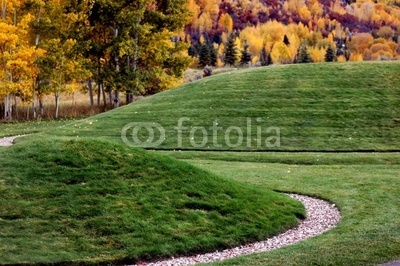 Grass Mounds Landscape