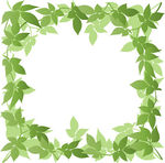 Leaf Border Clip Art