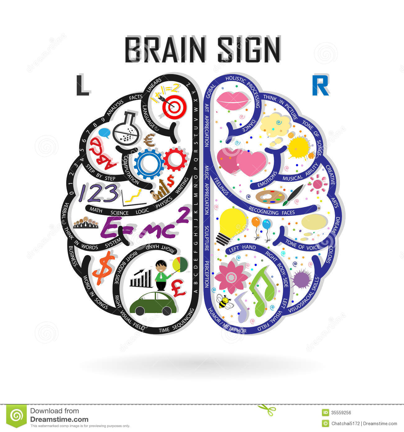 Left and Right Brain Clip Art