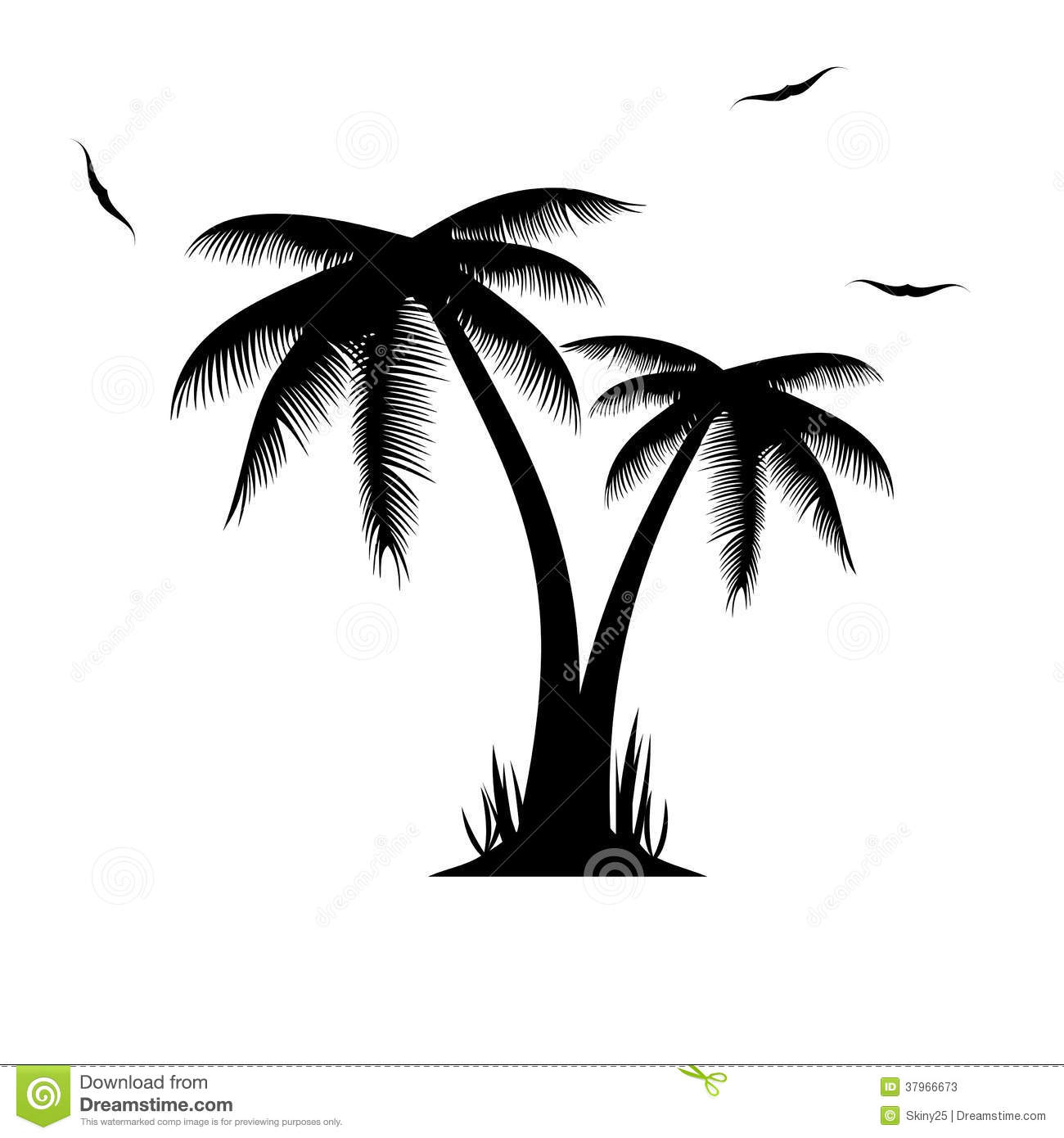 Palm Tree Vector